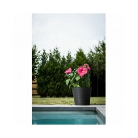 Vaso Garden ID