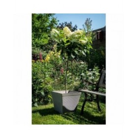 Vaso Garden ID Taupé Quadrato 39 x 33 cm
