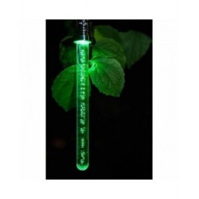 Lampada ad energia solare Garden ID Crystal