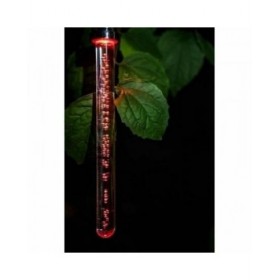 Lampada ad energia solare Garden ID Crystal