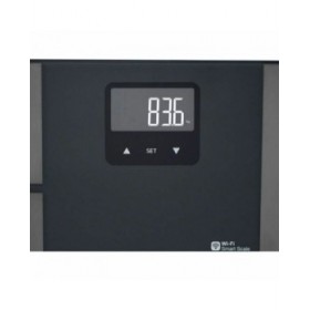 Bilancia Digitale da Bagno Terraillon Master Fit Ultra Grigio Vetro 180 kg