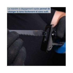 Seghetto Alternativo Scheppach BC-RS250-X