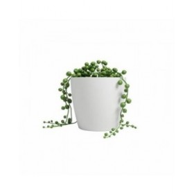 Vaso Artevasi SAN REMO Bianco (6 Pezzi)