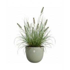Vaso Elho Sereh Rond 40 Verde 39 x 33 cm