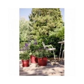 Vaso Elho Amiga Round 47 Rosso rouge 47 x 35 cm