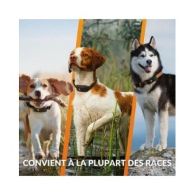 Localizzatore Anti-smarrimento Weenect Orange