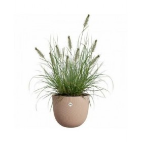 Vaso Elho Marrone 30 x 29,5 x 25 cm
