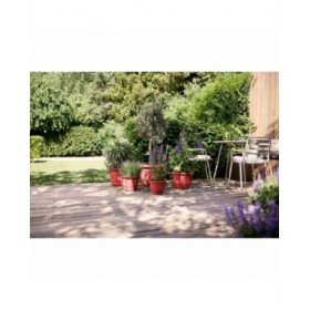 Vaso Elho rouge 30 x 29,5 x 22 cm