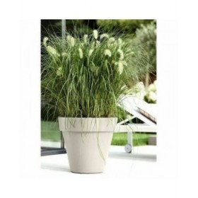 Vaso Elho Bianco 39 x 36 cm