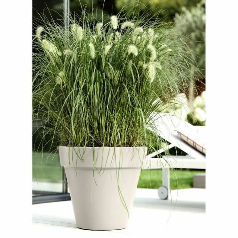Vaso Elho Bianco 39 x 36 cm