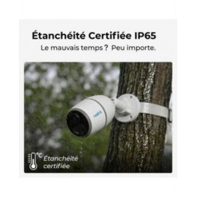 Videocamera di Sorveglianza Reolink