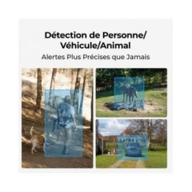 Videocamera di Sorveglianza Reolink