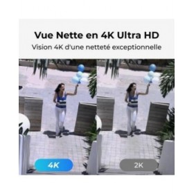 Videocamera di Sorveglianza Reolink