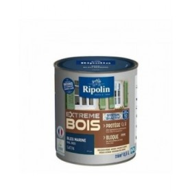 Vernice di Fondo Ripolin Azzurro Raso 500 ml