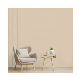 Vernice di Fondo Ripolin Beige Mat 2,5 L