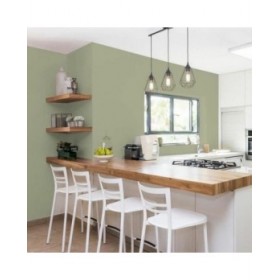 Vernice di Fondo Ripolin Vert Raso 2 L