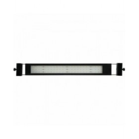 Strisce LED Zolux 300 cm Bianco Freddo