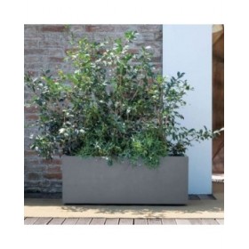 Vaso Autoirrigante Deroma Grigio 99 cm Plastica Rettangolare