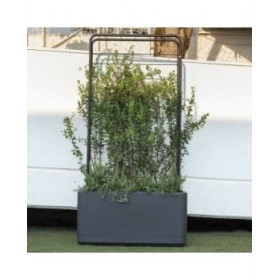 Vaso Autoirrigante Deroma Antracite 78 x 38 x 39 cm Plastica Rettangolare