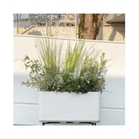 Vaso Autoirrigante Deroma Perla 78 x 38 x 39 cm Plastica Rettangolare Ø 78 cm