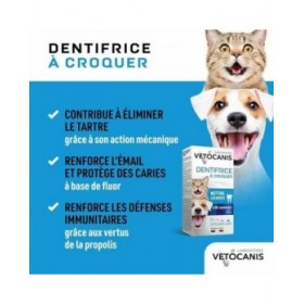 Dentifricio Vetocanis (8 Unità)