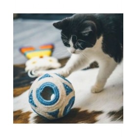 Tiragraffi per Gatti Aimé