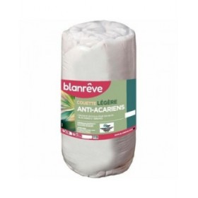Piumino Letto Blanreve 200 g/m²