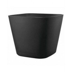 Vaso Deroma