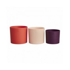 Vaso Elho