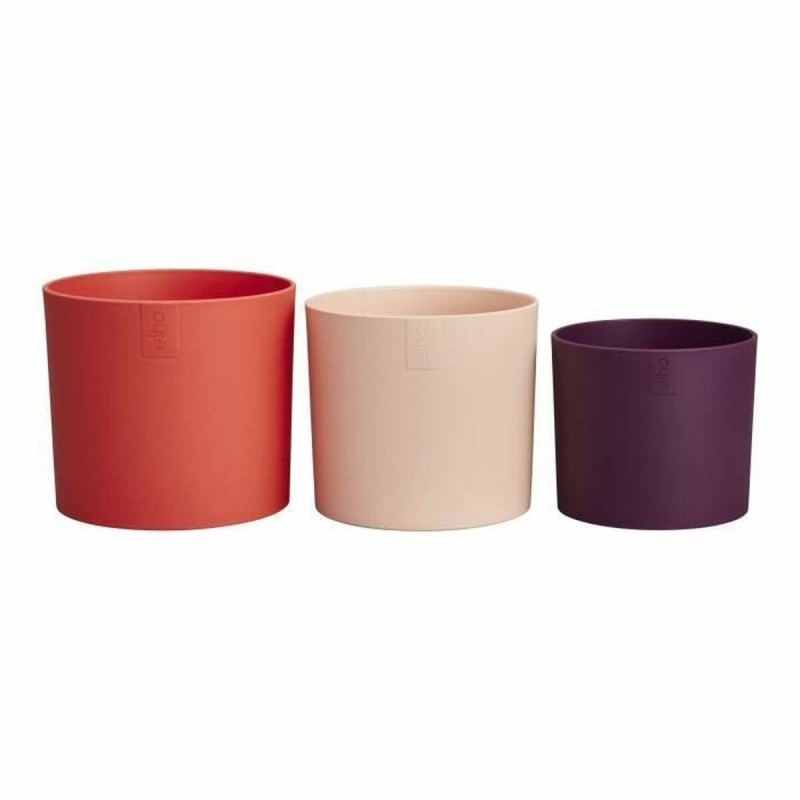 Vaso Elho