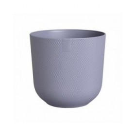 Vaso Elho