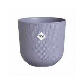 Vaso Elho