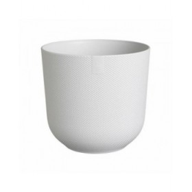 Vaso Elho