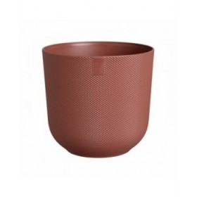 Vaso Elho