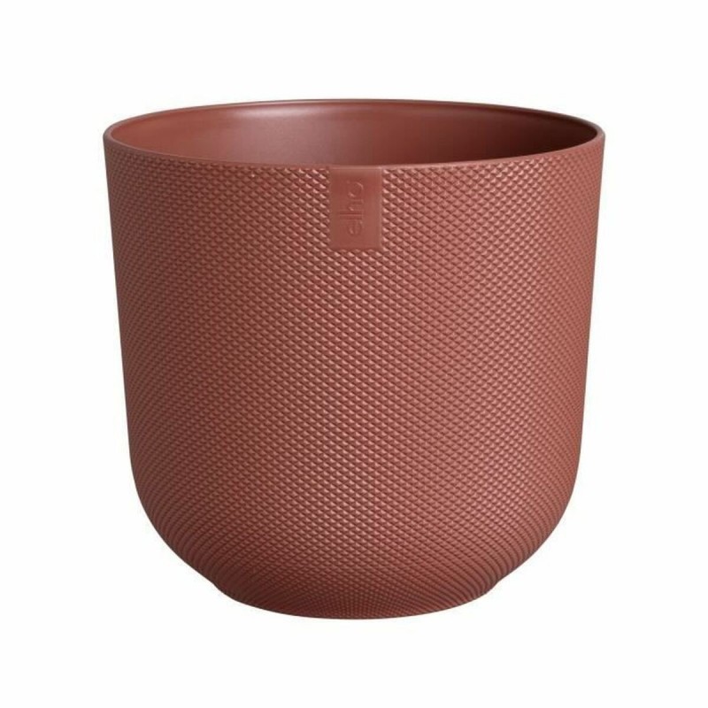 Vaso Elho