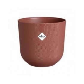 Vaso Elho