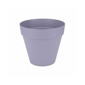 Vaso Elho