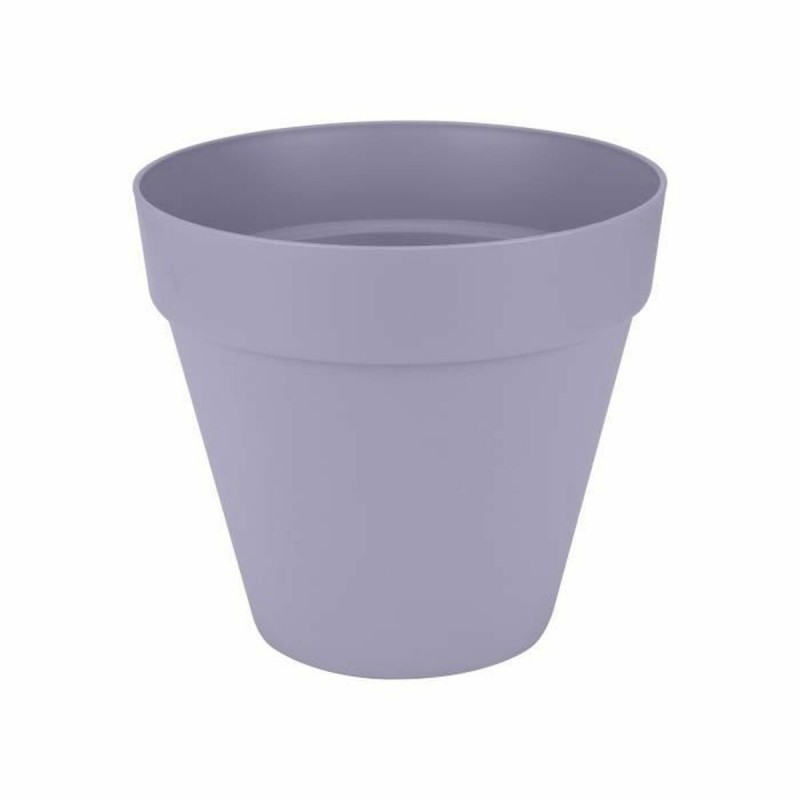 Vaso Elho