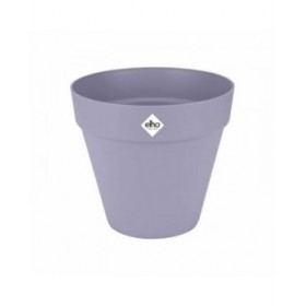 Vaso Elho