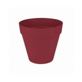 Vaso Elho