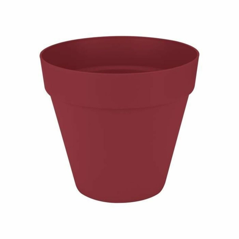 Vaso Elho