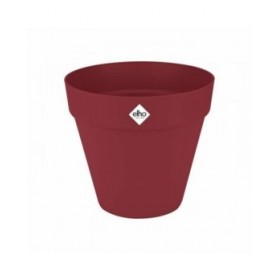 Vaso Elho