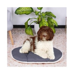 Cuccia per Cani Ferplast