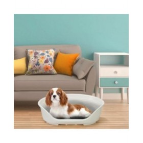 Cuccia per Cani Ferplast