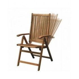 Sedia da giardino Fieldmann FDZN 4001-T