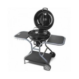 Barbecue Portatile Fieldmann FZG 1014 Metallo Acciaio