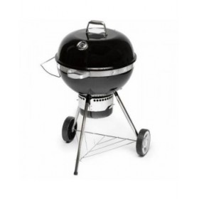 Barbecue Portatile Fieldmann FZG 1017 Metallo Acciaio