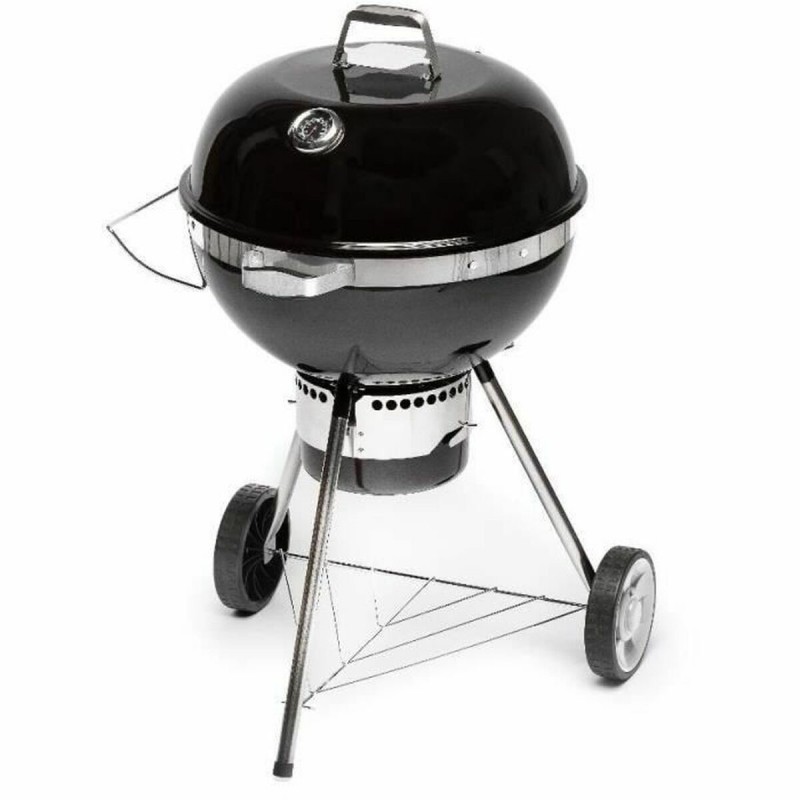 Barbecue Portatile Fieldmann FZG 1017 Metallo Acciaio