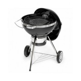 Barbecue Portatile Fieldmann FZG 1017 Metallo Acciaio