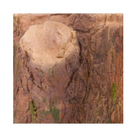 Vaso Alexandra House Living Fantasy Poliresina 27 x 27 x 27 cm